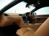leather-protection